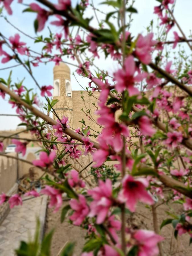 Guest House Khiva Boyjon Ota Exterior photo